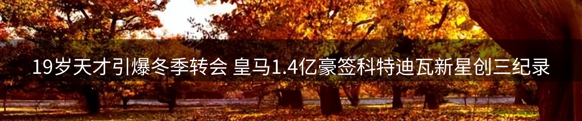 行业资讯